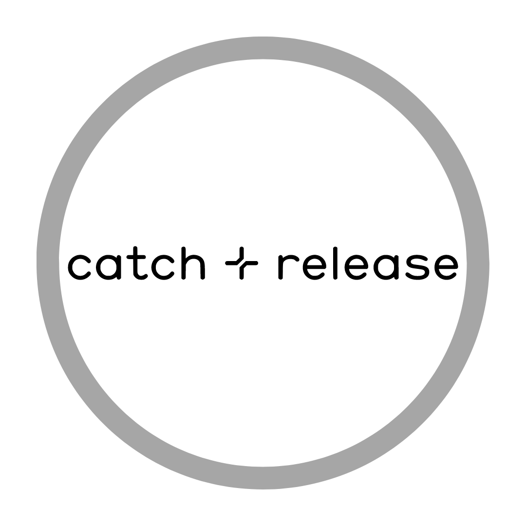 Catch+Release | Head of Marketing