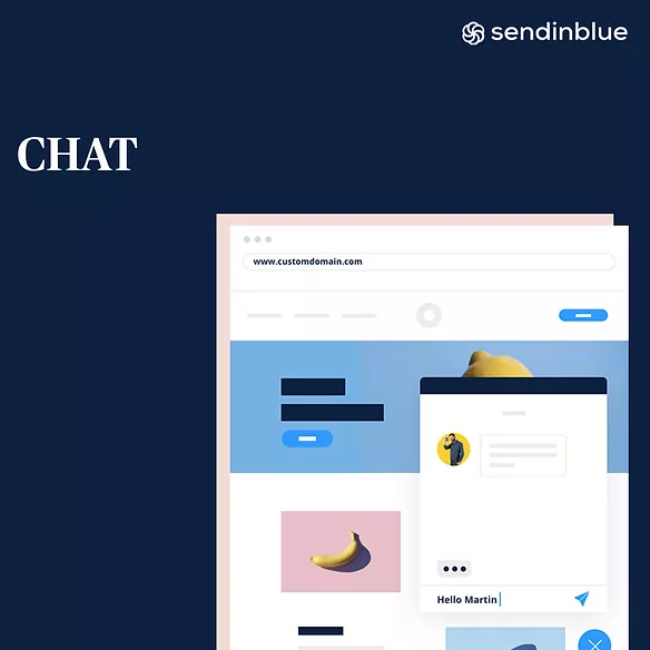 Sendinblue | Chief Executive Officer - North America